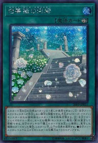 White Rose Cloister - Secret Rare - 20PP-JP011