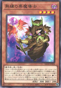 Skilled Brown Magician BACH-JP024