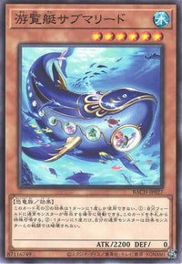 Submareed Tour Ride BACH-JP027