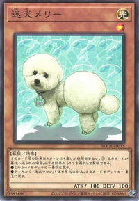 Outstanding Dog Mary - Normal - BODE-JP035