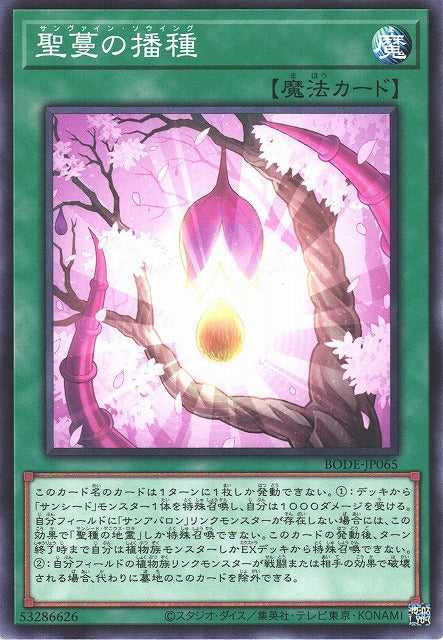 Sunvine Sowing - Normal - BODE-JP065