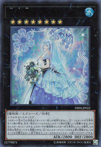 Teardrop the Rikka Queen - Ultra Rare - DBSS-JP022