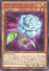 Brilliant Rose - Normal - POTE-JP021