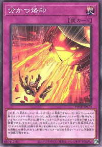 Branded Separation - Normal - POTE-JP070