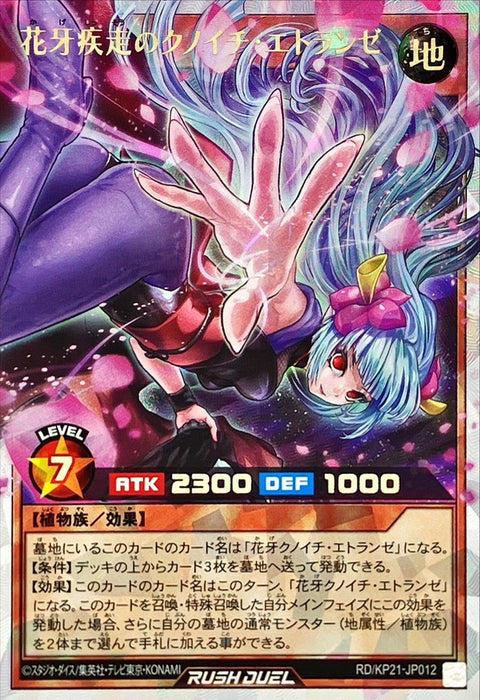 Etraynze the Sprinting Shadow Flower Ninja