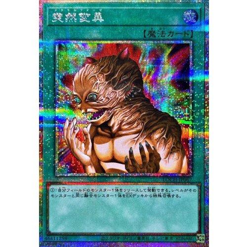 Yu-Gi-Oh! - Metamorphosis [Prismatic Secret Rare] {LOCH-JP067} Spell