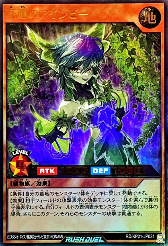 Einvy the Irreverent