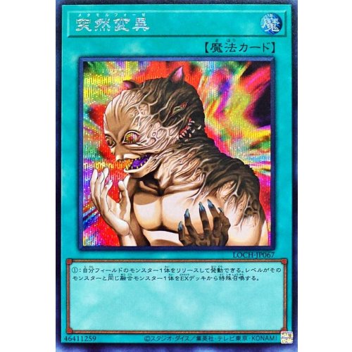 Yu-Gi-Oh! - Metamorphosis [Secret Rare] {LOCH-JP067} Spell Card