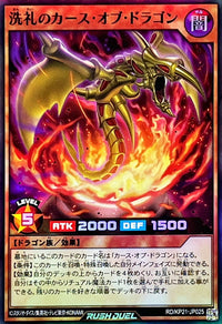 Dedicated Curse of Dragon