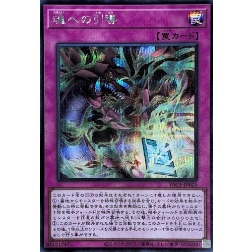 Yu-Gi-Oh! - Soul Guidance [Secret Rare]