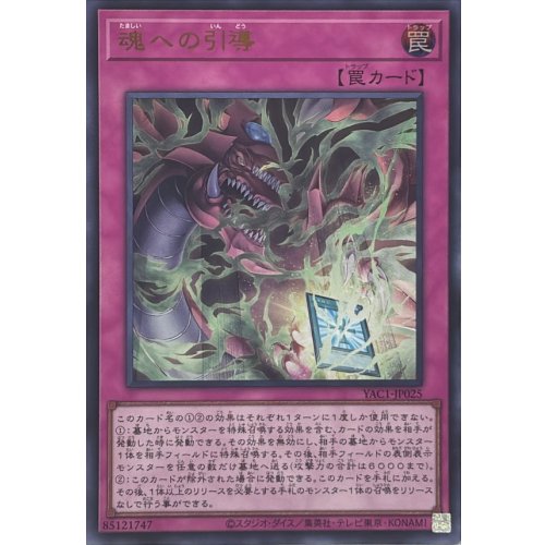 Yu-Gi-Oh! - Guidance to the Soul [Ultra Rare]