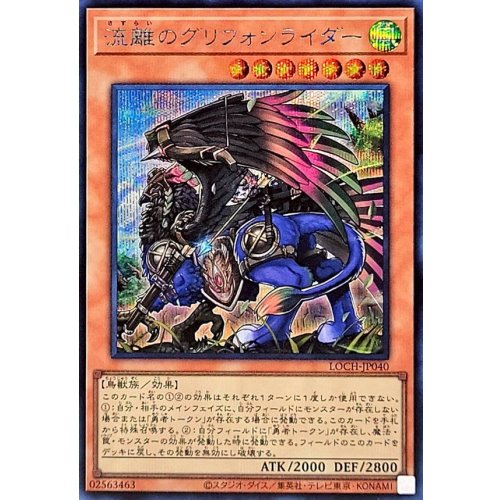 Yu-Gi-Oh! - Wandering Gryphon Rider [Secret Rare] {LOCH-JP040} Monster