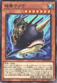 Citadel Whale - Normal - DP26-JP026