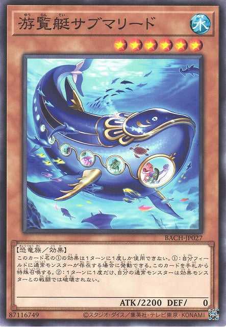 Submareed Tour Ride BACH-JP027