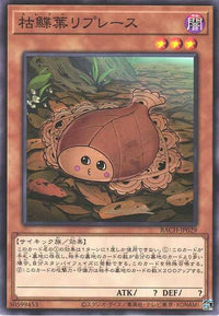 Leafplace Plaice BACH-JP029