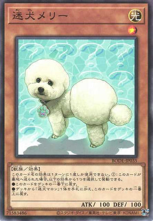 Outstanding Dog Mary - Normal - BODE-JP035