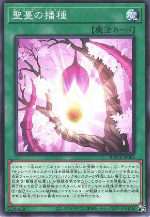 Sunvine Sowing - Normal - BODE-JP065