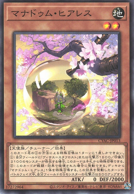 Yu-Gi-Oh Card - CYAC-JP013 - Normal