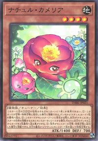 Yu-Gi-Oh Card - DABL-JP021 - Normal