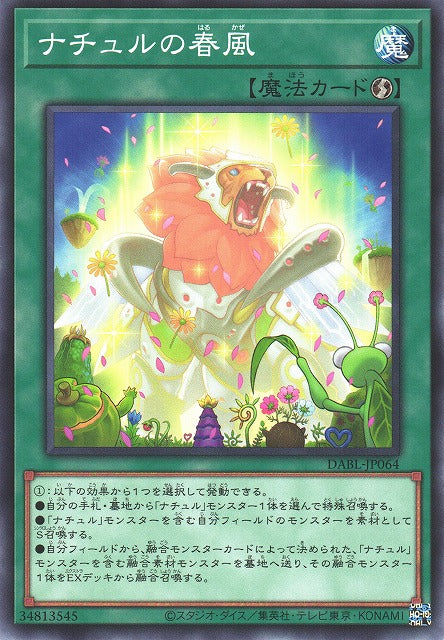 Yu-Gi-Oh Card - DABL-JP064 - Normal