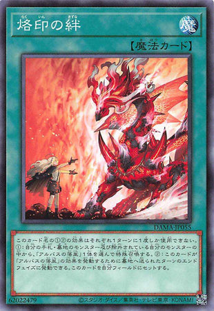Branded Bond - Normal - DAMA-JP055
