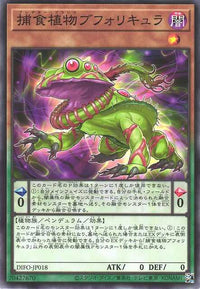 Predaplant Bufolicula - Normal - DIFO-JP018