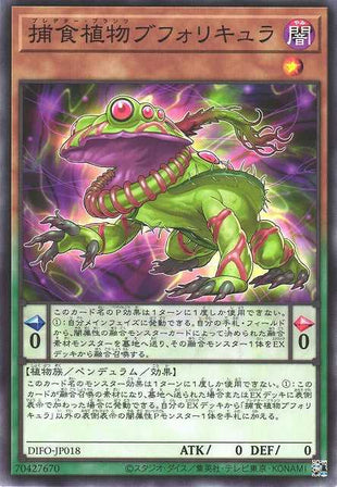 Predaplant Bufolicula - Normal - DIFO-JP018