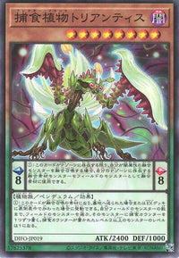 Predaplant Triantis - Normal - DIFO-JP019