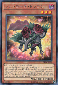 Red Rose Dragon - Rare - DP21-JP025