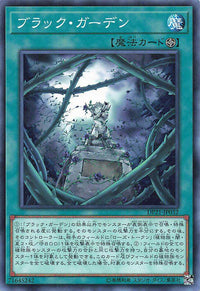 Black Garden - Normal - DP21-JP032