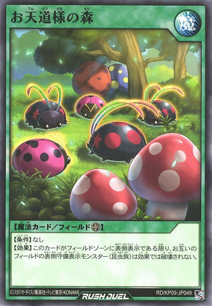 Rush Duel Card - RD/KP09-JP049 - Normal