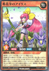 Rush Duel Card - RD/KP11-JP018 - Normal