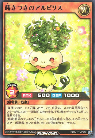 Rush Duel Card - RD/KP11-JP019 - Rare
