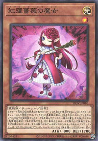 Ruddy Rose Witch - Normal - LIOV-JP010