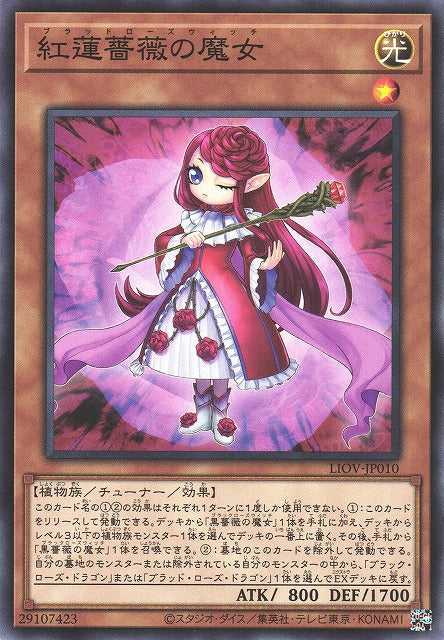 Ruddy Rose Witch - Normal - LIOV-JP010