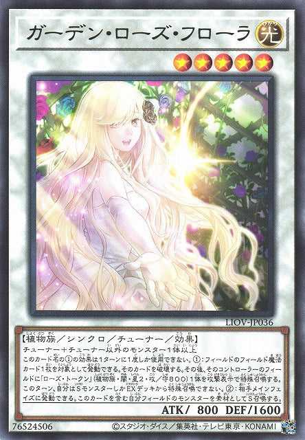 Garden Rose Flora - Rare - LIOV-JP036