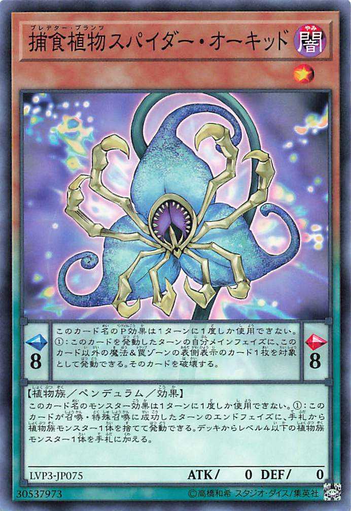 Predaplant Spider Orchid - Normal - LVP3-JP075