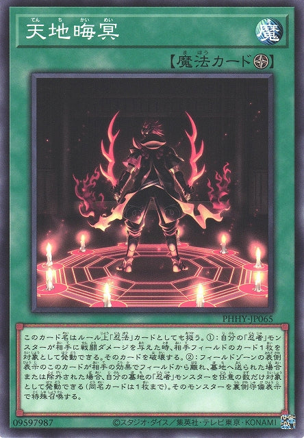 Yu-Gi-Oh Card - PHHY-JP065 - Normal