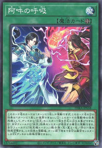 Perfect Sync - A-Un - Normal - PHRA-JP058