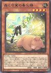 Vernalizer Fairy of Forests and Awakening - Rare - POTE-JP017