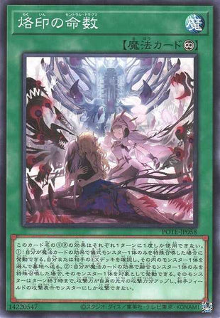 Branded Central Dogmatika - Normal - POTE-JP058