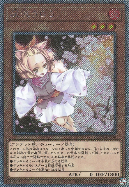 Yu-Gi-Oh Card - RC04-JP009 - Extra Secret Rare