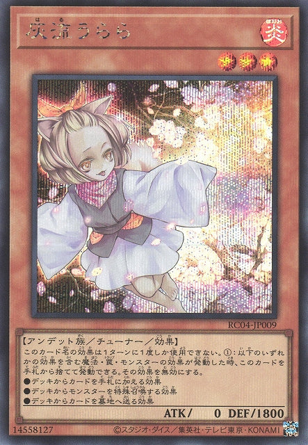 Yu-Gi-Oh Card - RC04-JP009 - Secret Rare