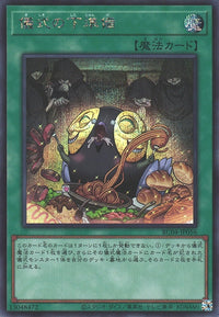 Yu-Gi-Oh Card - RC04-JP056 - Secret Rare