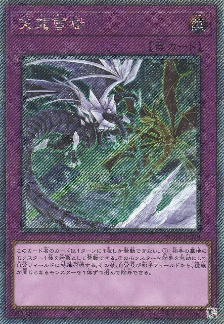 Yu-Gi-Oh Card - RC04-JP079 - Extra Secret Rare