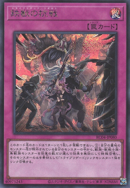 Yu-Gi-Oh Card - RC04-JP080 - Secret Rare